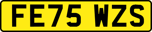 FE75WZS
