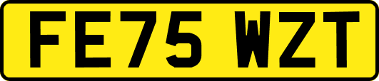 FE75WZT