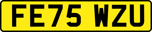FE75WZU
