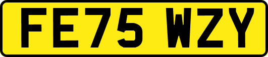 FE75WZY