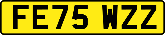 FE75WZZ