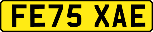 FE75XAE