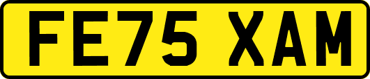 FE75XAM