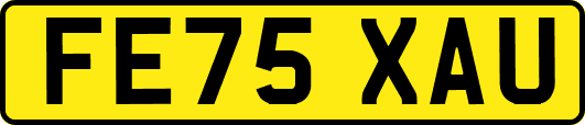 FE75XAU