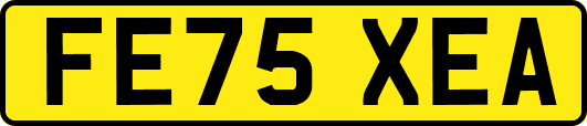 FE75XEA