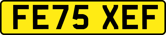 FE75XEF