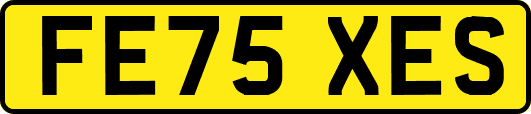 FE75XES