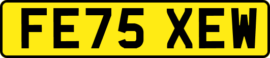 FE75XEW
