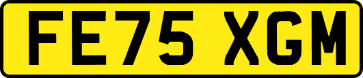 FE75XGM