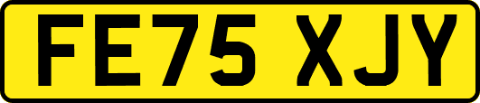 FE75XJY