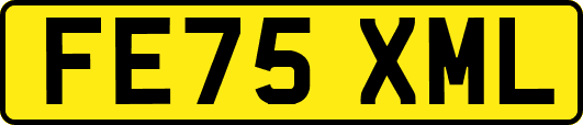 FE75XML