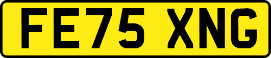 FE75XNG