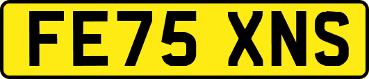 FE75XNS
