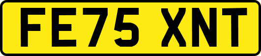 FE75XNT