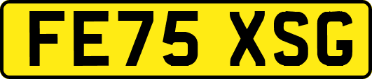 FE75XSG