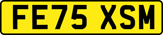 FE75XSM