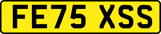 FE75XSS