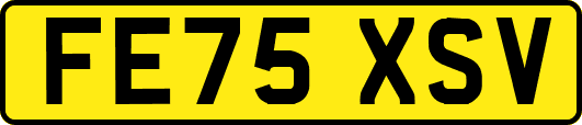 FE75XSV