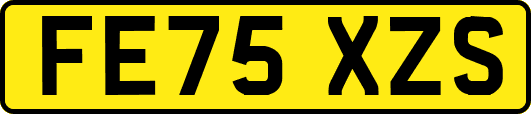 FE75XZS
