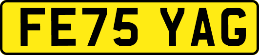 FE75YAG