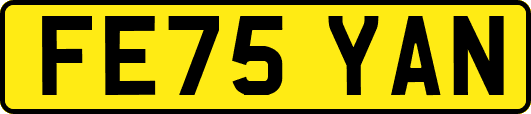 FE75YAN