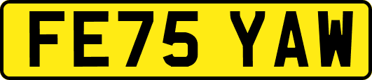 FE75YAW