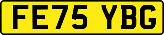 FE75YBG