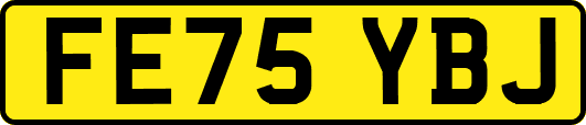 FE75YBJ