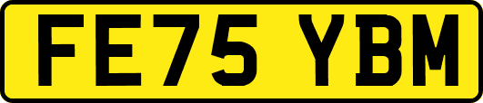 FE75YBM