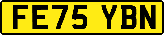 FE75YBN