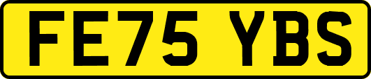 FE75YBS