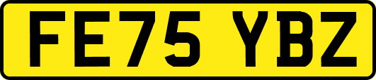 FE75YBZ