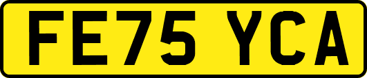 FE75YCA