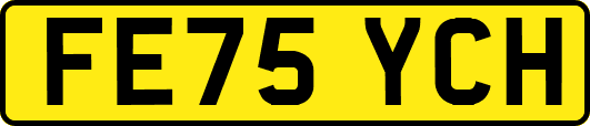 FE75YCH