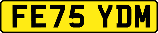 FE75YDM