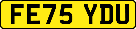 FE75YDU