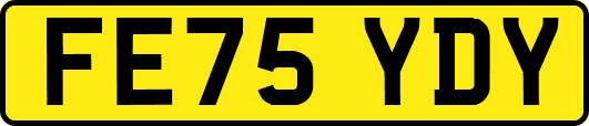 FE75YDY