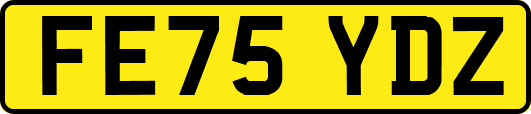 FE75YDZ