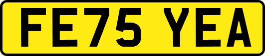 FE75YEA