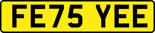 FE75YEE