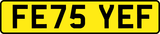 FE75YEF