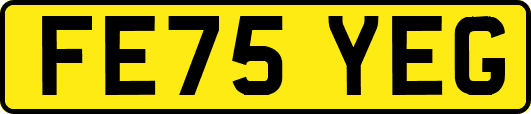 FE75YEG