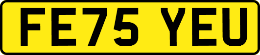 FE75YEU