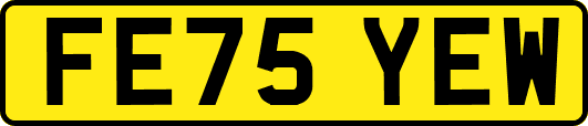 FE75YEW