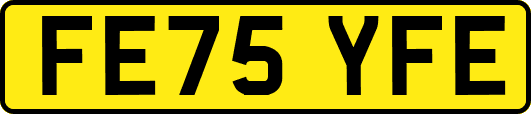 FE75YFE