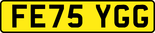 FE75YGG