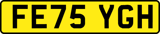 FE75YGH