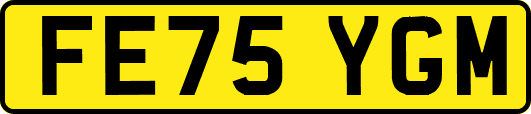 FE75YGM