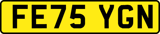 FE75YGN