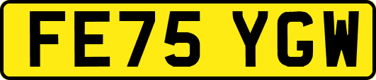 FE75YGW